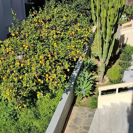 Lefteris In Rhodes イアリソス