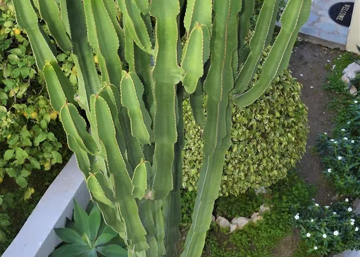 Lefteris In Rhodes Apartamento *