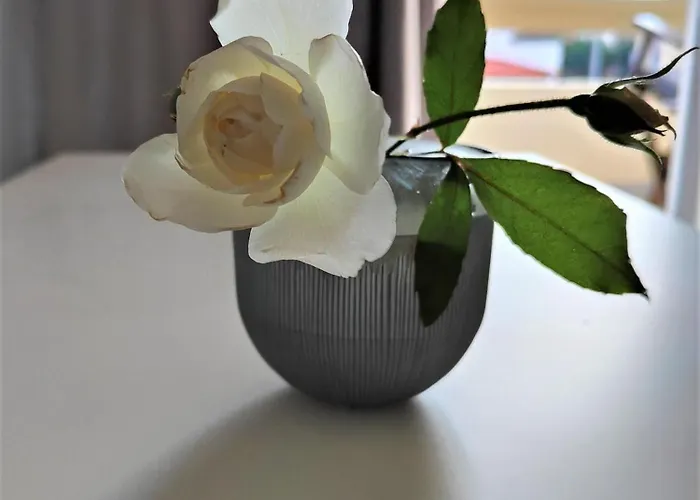 Lefteris In Rhodes *