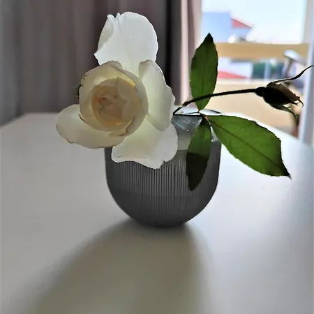 Lefteris In Rhodes *